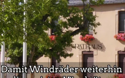 Damit Windräder die Top-Vogelkiller bleiben: Fenster aus Rathaus entfernt Damit Windräder die Top-Vogelkiller bleiben: Fenster aus Rathaus entfernt
