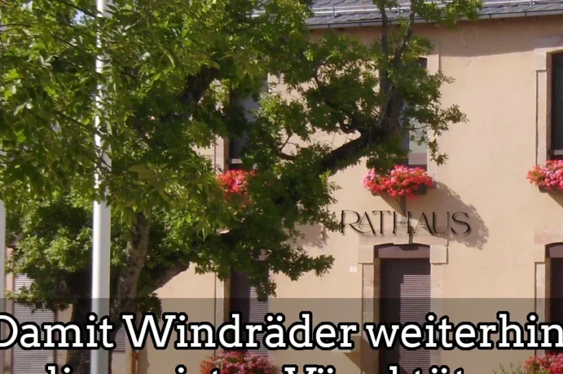 Damit Windräder die Top-Vogelkiller bleiben: Fenster aus Rathaus entfernt Damit Windräder die Top-Vogelkiller bleiben: Fenster aus Rathaus entfernt