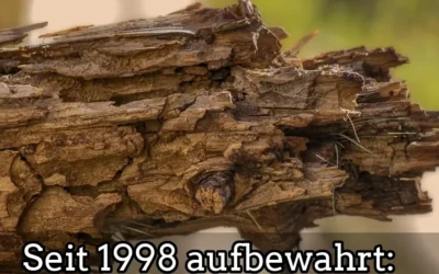 Seit 1998 aufbewahrt: Mann braucht endlich Holzstück aus der Garage Mann braucht endlich Holzstück aus der Garage nach 25 Jahren