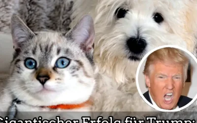 Gigantischer Erfolg für Trump: Niemand isst mehr Katzen und Hunde Gigantischer Erfolg für Trump: Niemand isst mehr Katzen und Hunde