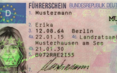 Woke-Wahnsinn: Deutsche sollen bald nicht mehr Führerschein sagen dürfen Woke-Wahnsinn: Deutsche sollen bald nicht mehr Führerschein sagen dürfen